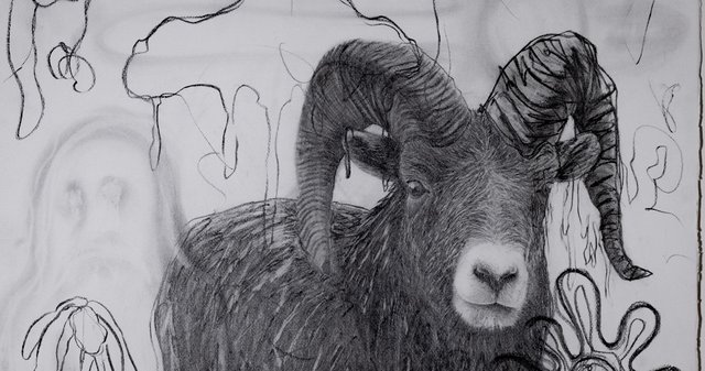 Ram