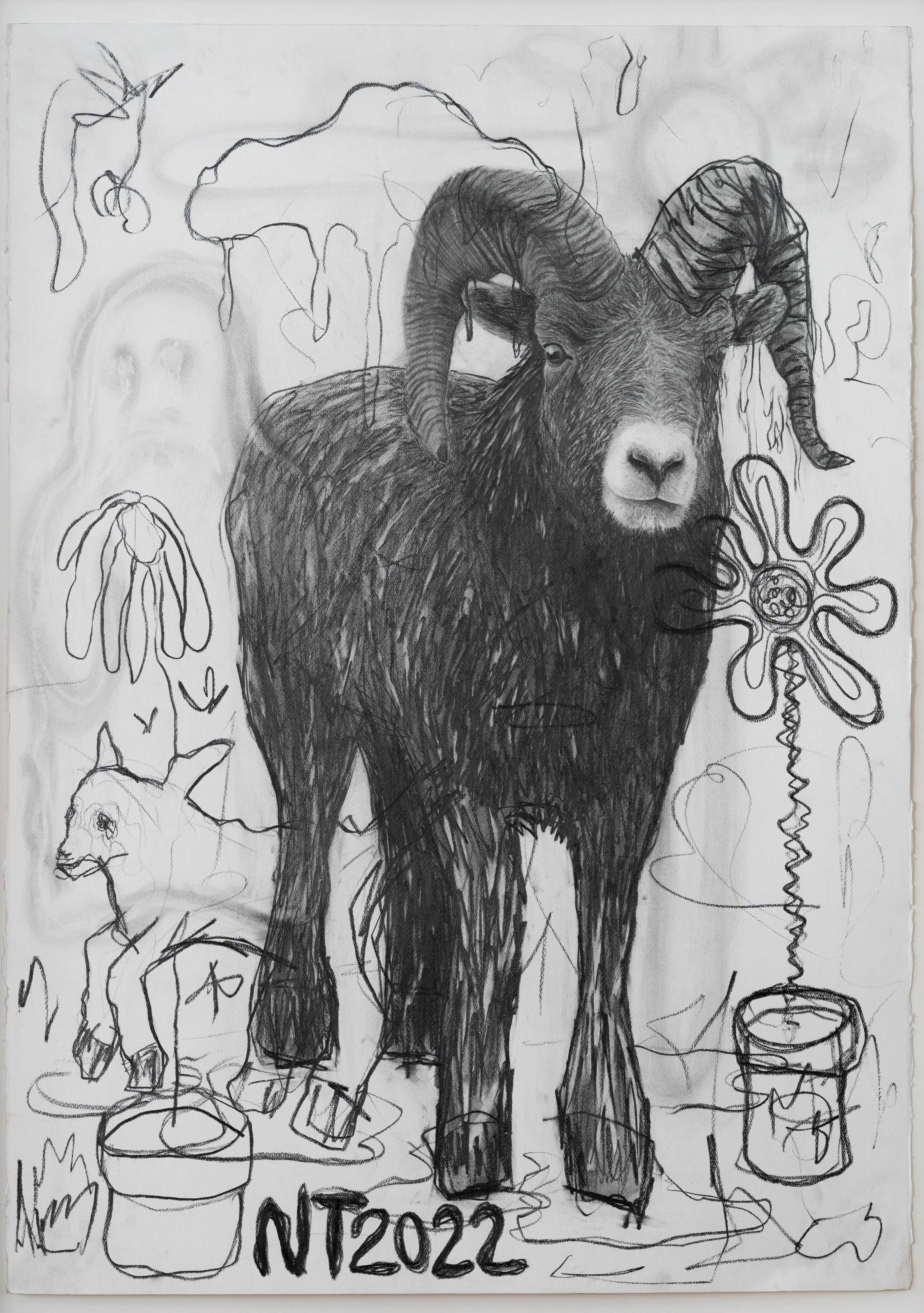 Ram